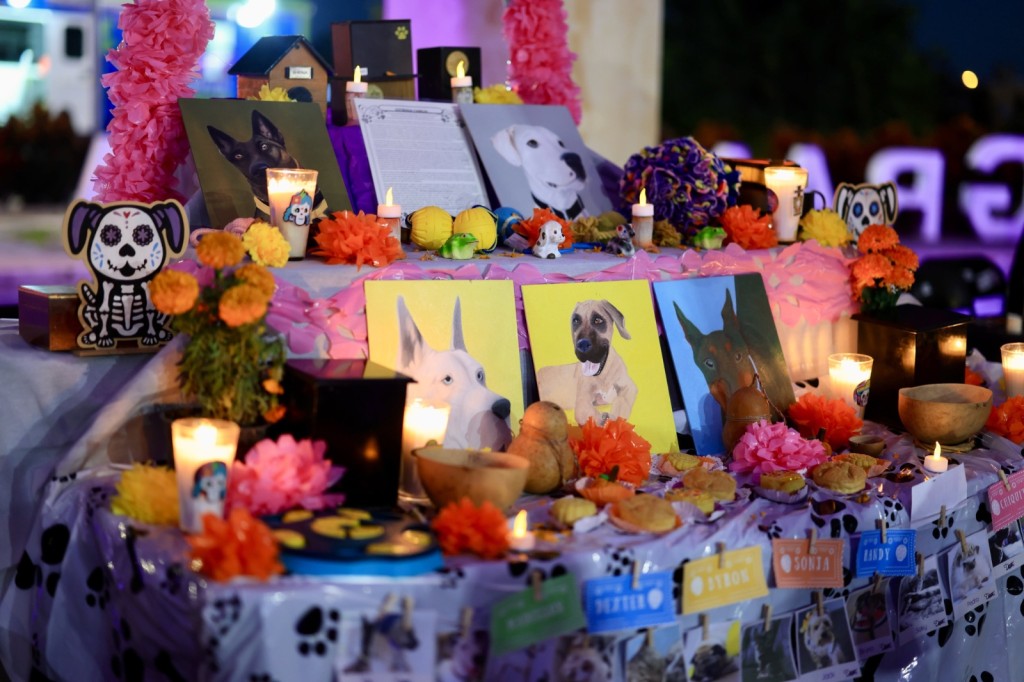 Se extender&aacute; El Festival de las &Aacute;nimas a comisar&iacute;as de M&eacute;rida