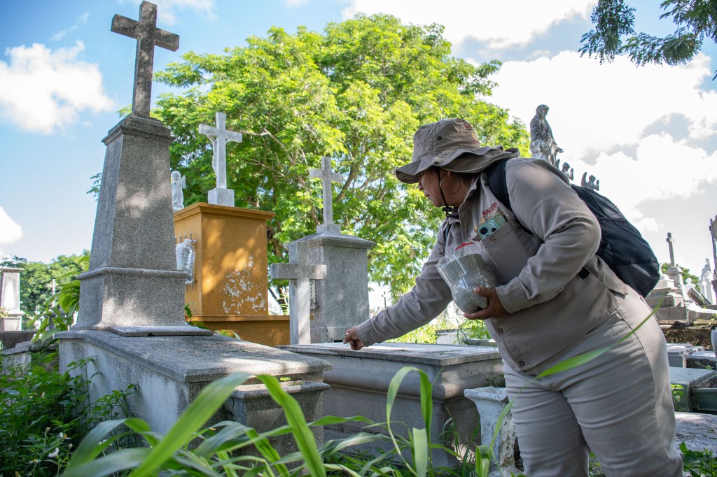Refuerza Yucat&aacute;n la fumigaci&oacute;n en panteones, por D&iacute;as de Fieles Difuntos