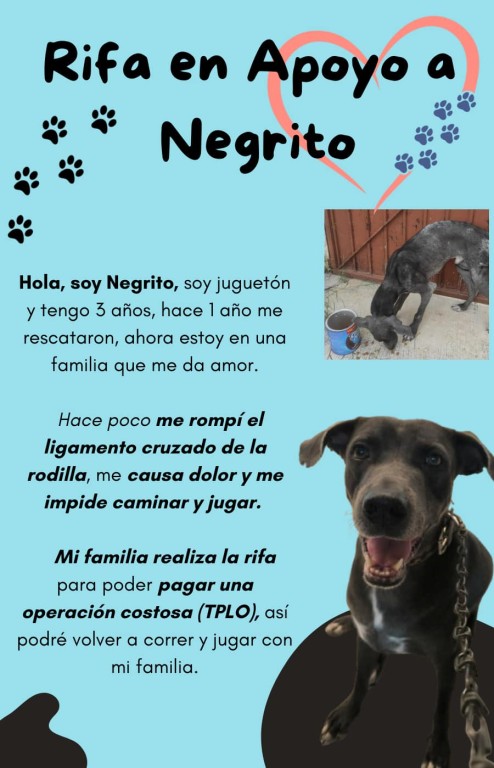 Realizan rifa con causa para “Negrito”