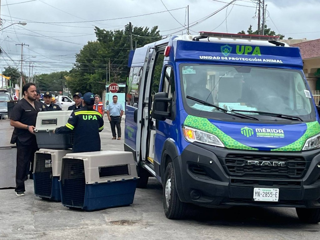 Segunda casa con toneladas de basura; ahora en la colonia Mayapán