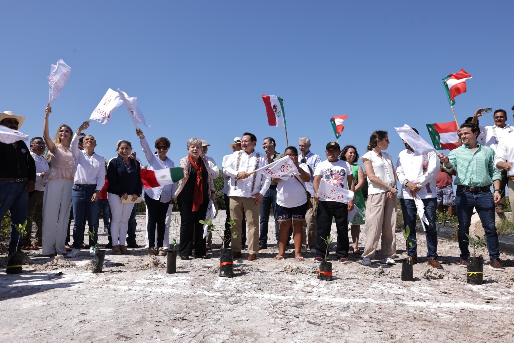 “Detener a los que devastaron los manglares en Sisal ha sido muy difícil”; reconoce titular de Semarnat