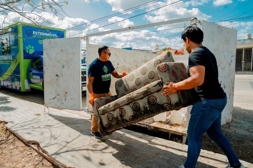 El Ayuntamiento de Mérida se une al operativo “Mi hogar sin criadero de Moscos”