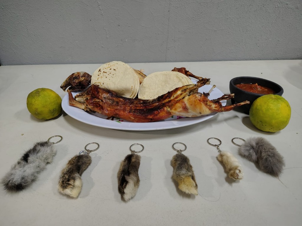 Se encuentra lista la Primera Edición del Festival del Conejo, en Tizimín