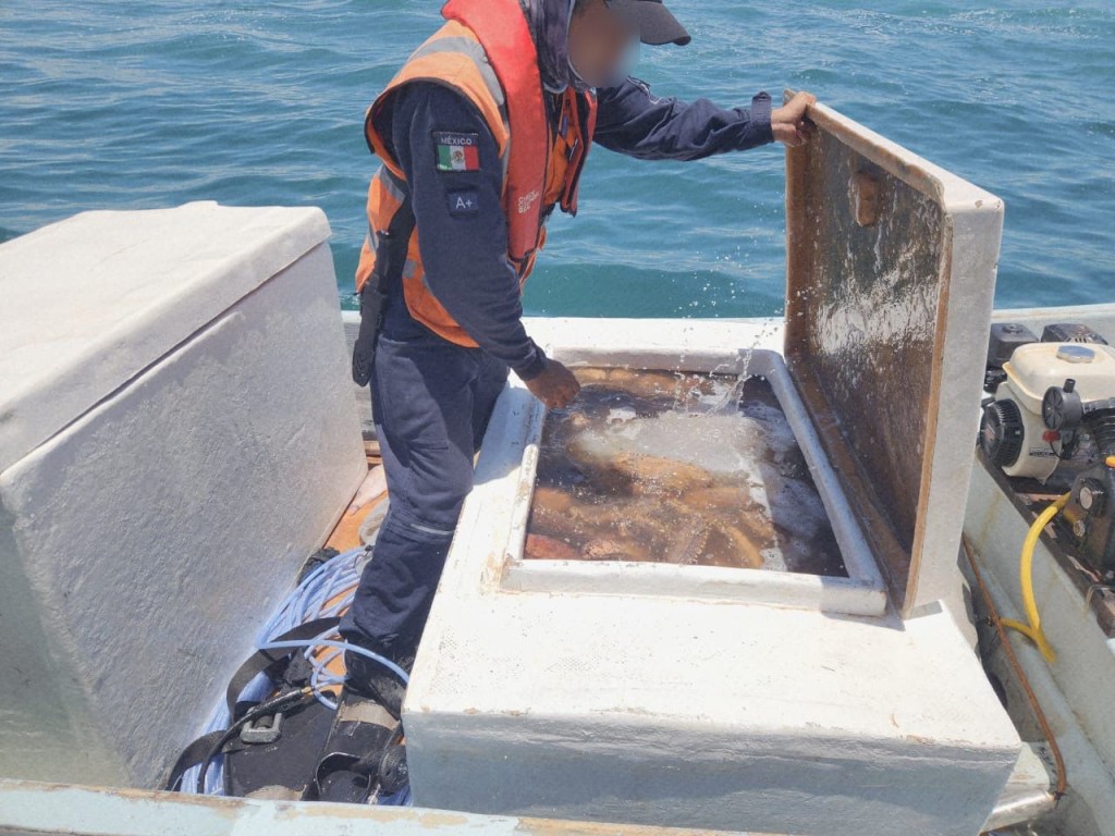 1 Detienen a 3 por pesca ilegal en costas yucatecas