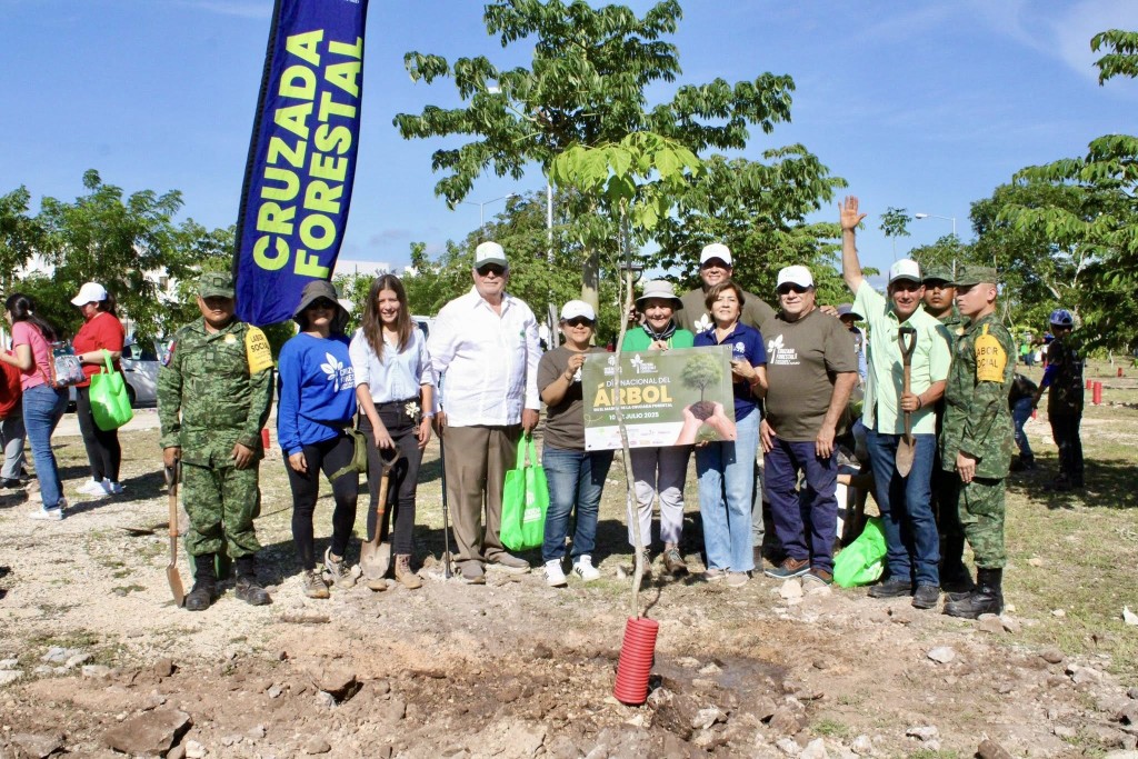 Sembrarán otros dos mil árboles, en Mérida