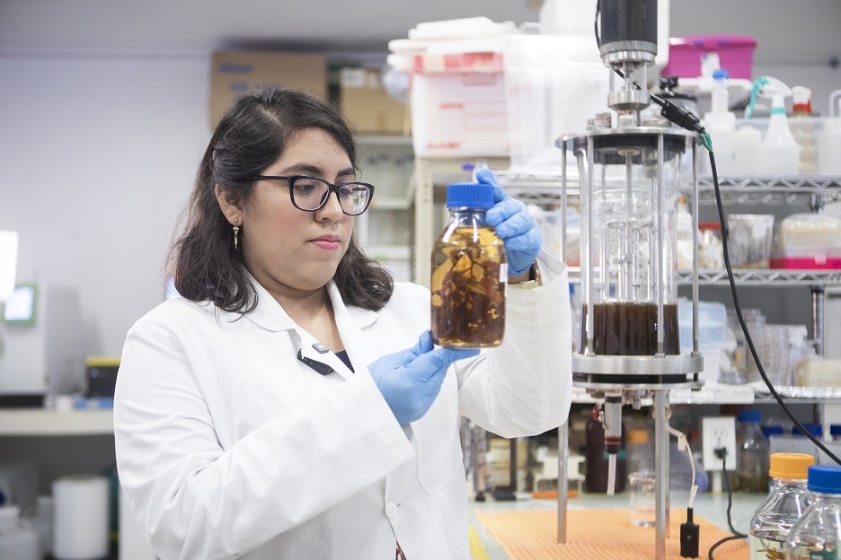Será sede Yucatán del Foro de Innovación Tecnológica Aplicada al Sargazo