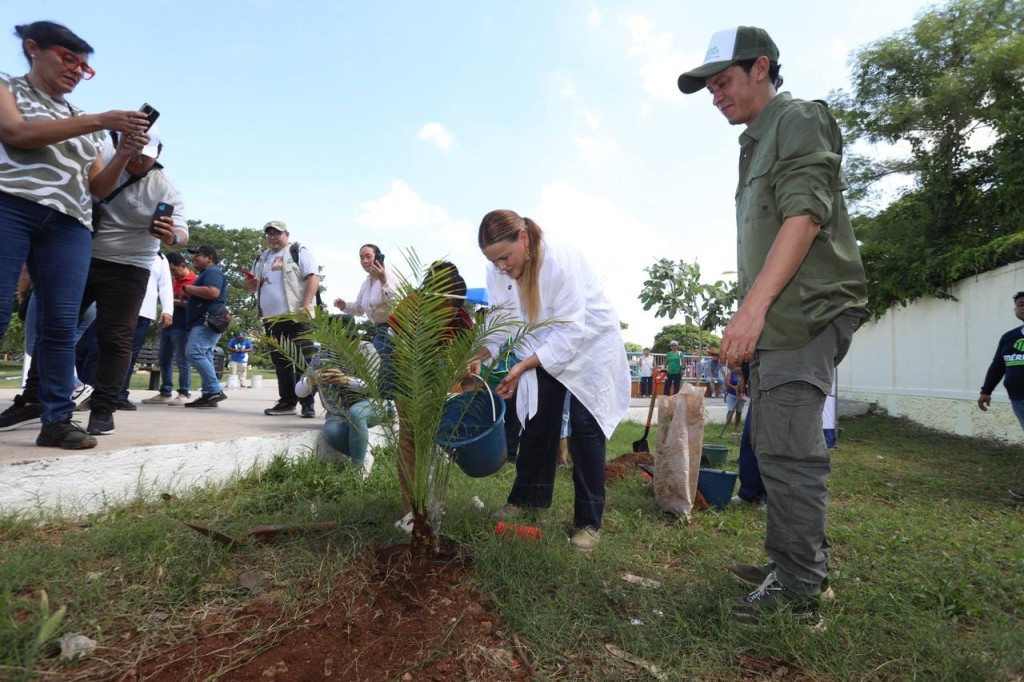 Más de 10 mil árboles plantados en Mérida y más de 44 mil adoptados por la gente