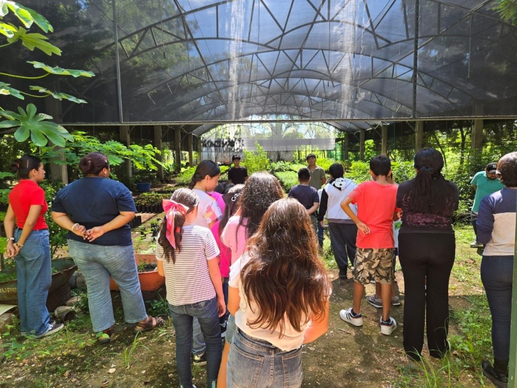 2 Participan infantes del sur de Mérida en curso de verano ambiental en el Parque Yumtsil