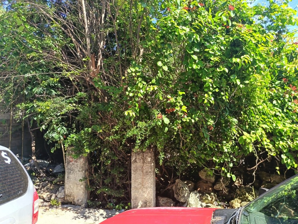 Se quejan vecinos de la Bojórquez de acumulador de basura y terreno baldío