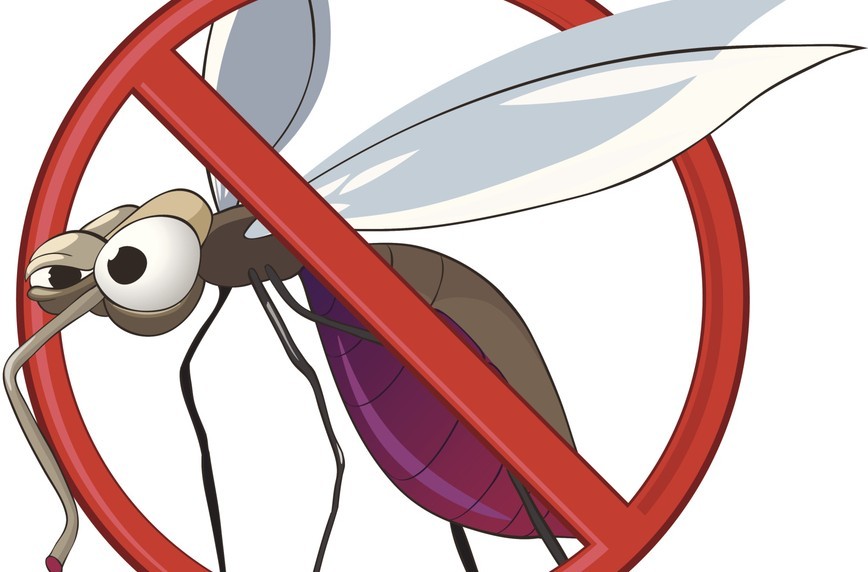 No figura Yucatán en los primeros lugares nacionales en casos de dengue.