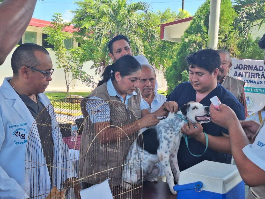 Impulsa Gobierno del Estado jornadas gratuitas de esterilización y vacunación de mascotas