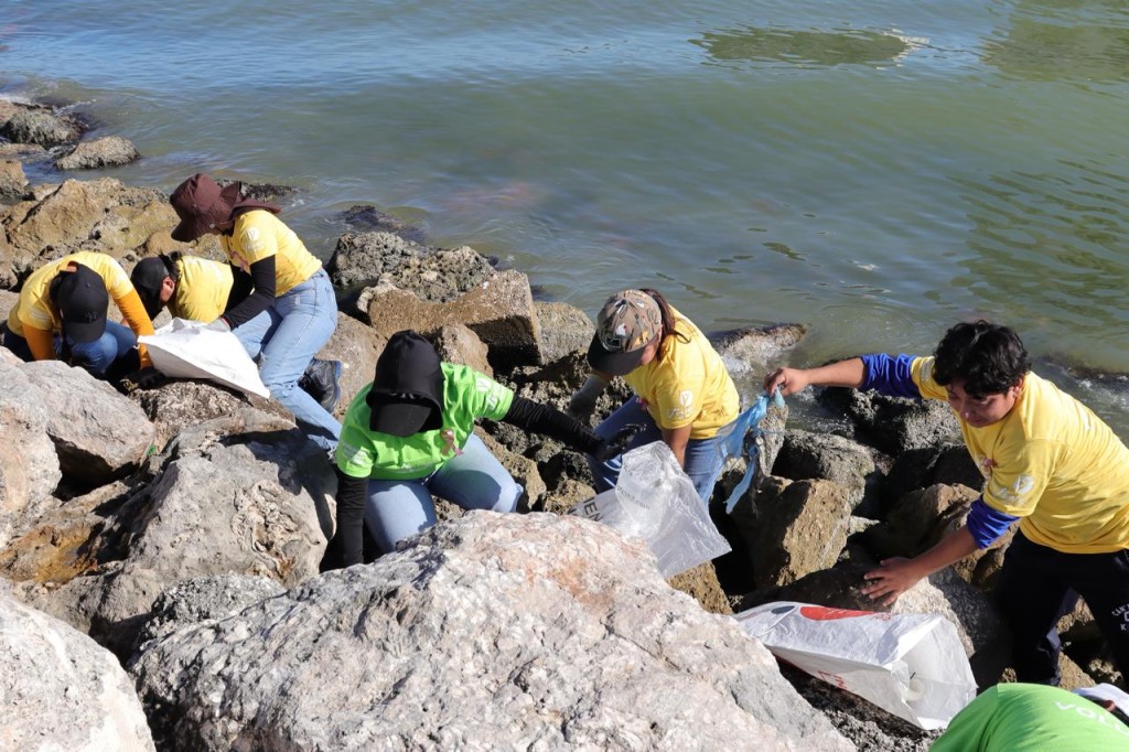 Realizan Limpieza de Playas Rosa para proteger costas yucatecas