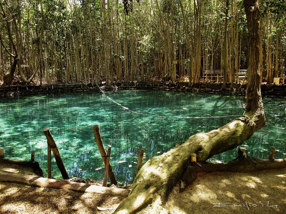 Disfruta de una escapada natural en “El Corchito”
