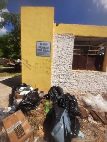 Alertan a vecinos “cochinos” de parque del “Tomoch” en Cordemex.