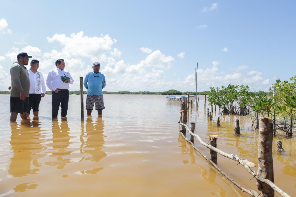 Lanza Yucatán estrategia integral para restauración de humedales costeros