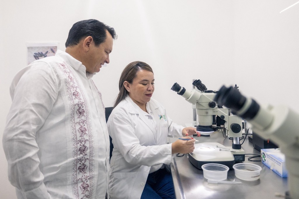 Yucatán, a la Vanguardia en control de Arbovirosis con estrategia de mosquitos Wolbachia