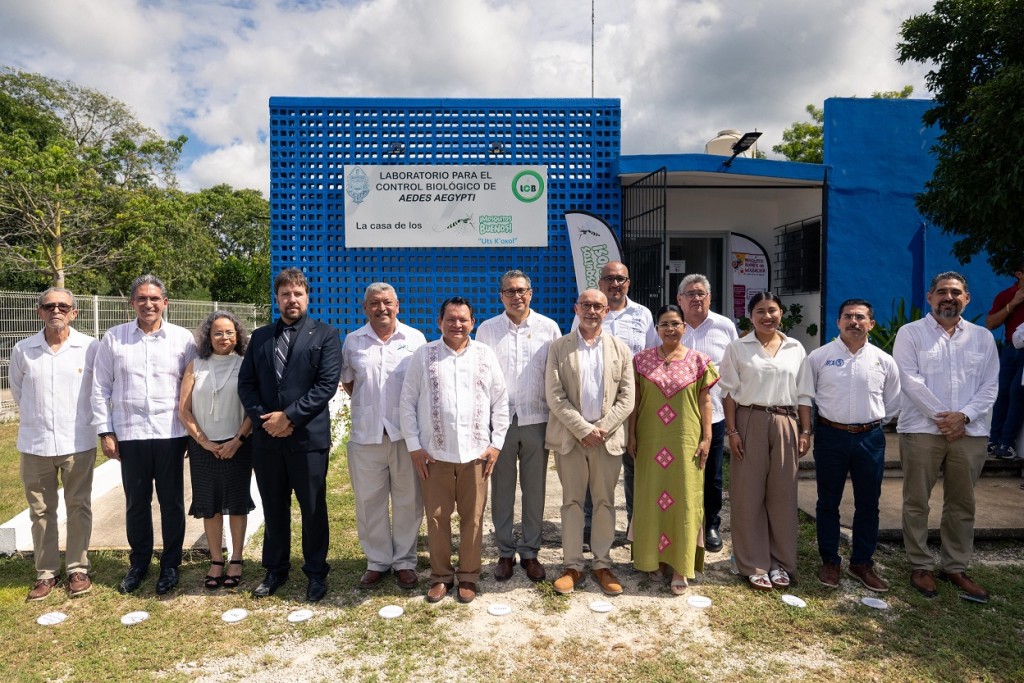 Combatirá Yucatán gusano barrenador con estrategia de insectos estériles