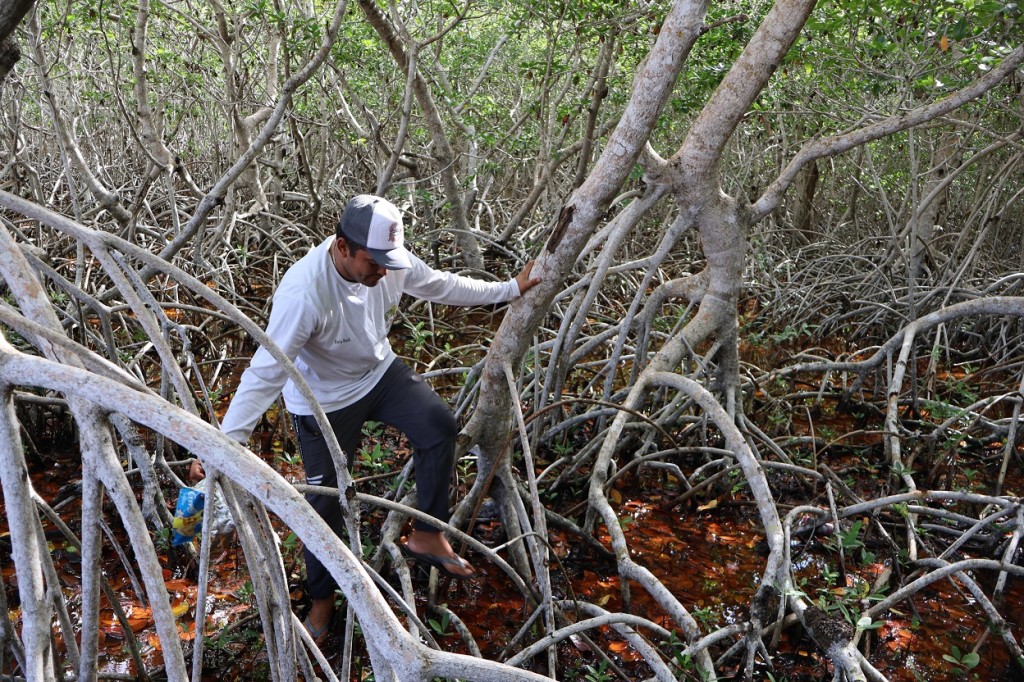 Recolectan más de 87 kilos de residuos en jornada de limpieza en balneario Chiquilá, Río Lagartos