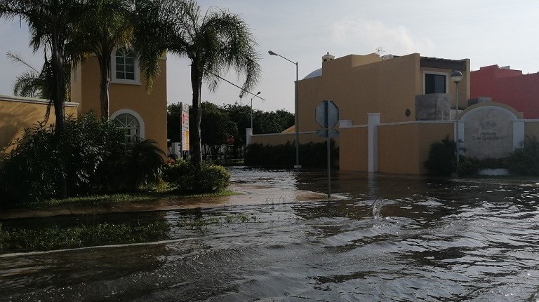El Ayuntamiento continuará atendiendo afectaciones por lluvia atípica en Caucel