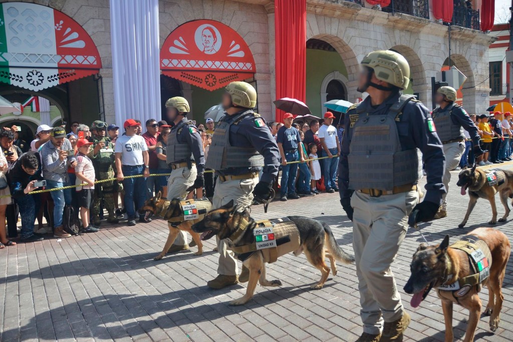 Se especializan policías K-9 de Yucatán en detección de explosivos, en Texas