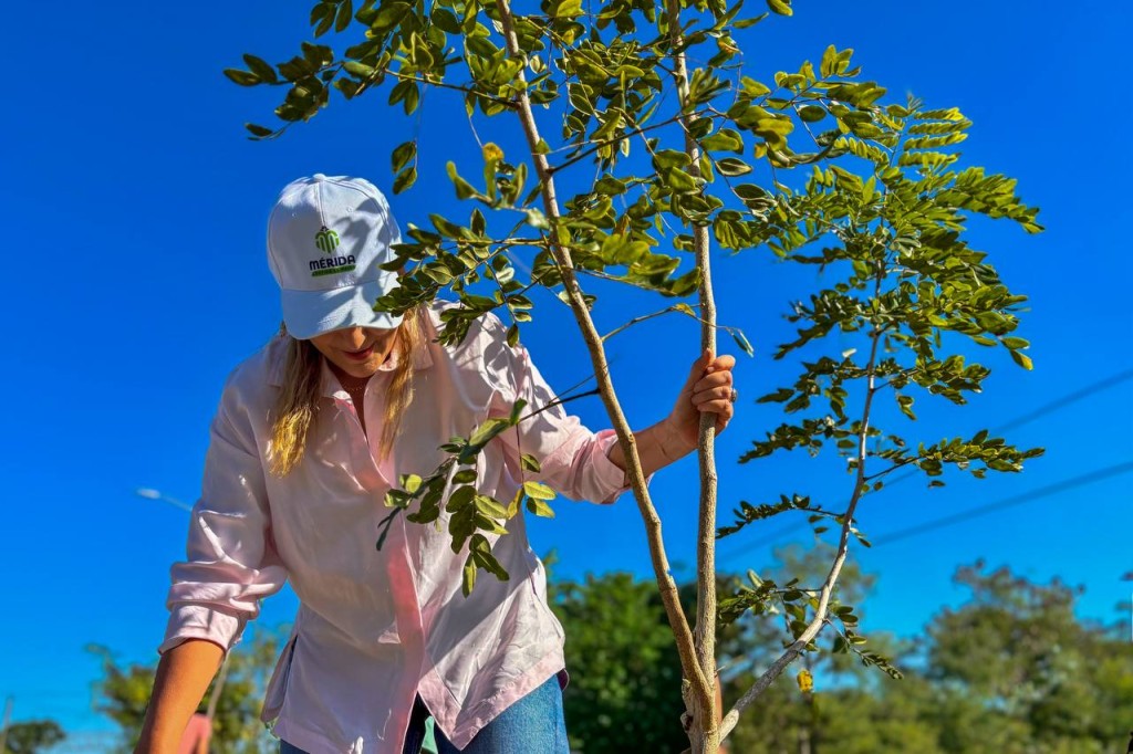 Mérida impulsa Plan Municipal de Infraestructura Verde con apoyo de GIZ de Alemania