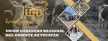 Asegura Wilmer Monforte que falsificaron su firma, como parte de las supuestas irregularidades que se registraron en la UGROY