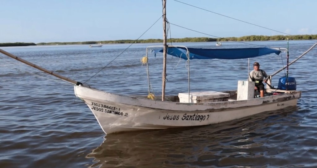 Ampliará Yucatán la cuota de pulpo a 32 mil toneladas