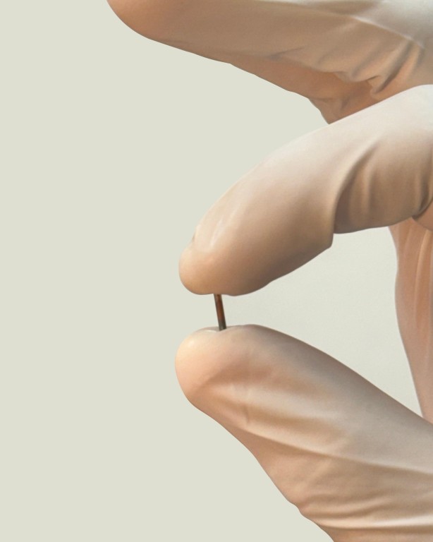 Se posiciona Mérida como la primera ciudad mexicana positiva para los animales