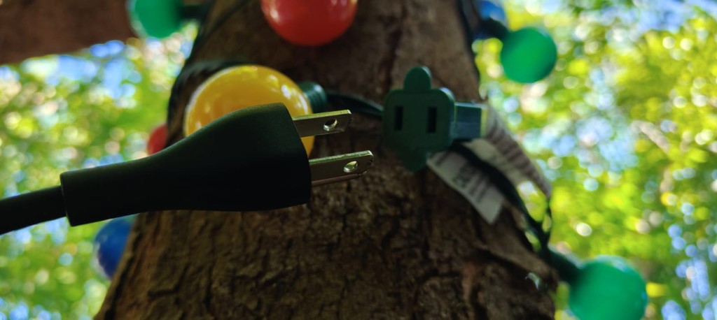 Recomienda IMSS Yucatán medidas preventivas para colocación del árbol navideño