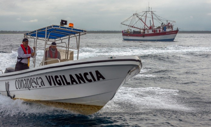 Se aumentar&aacute; la inspecci&oacute;n para controlar las vedas de las especies