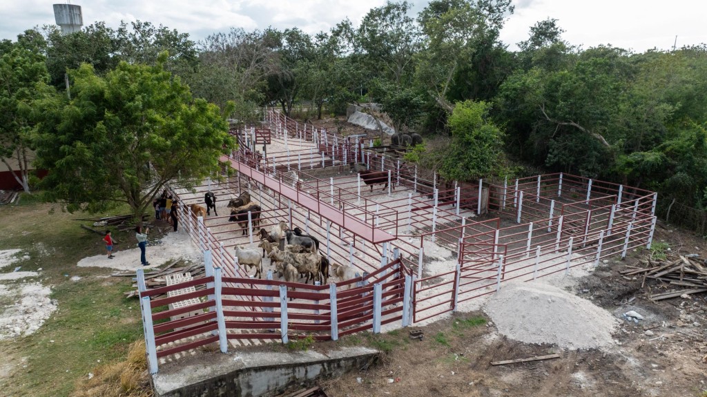 Gobierno del Estado refuerza infraestructura ganadera de Cenotillo