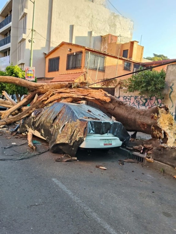 Dos fallecidos y da&ntilde;os materiales considerables, tras temblor en Guerrero