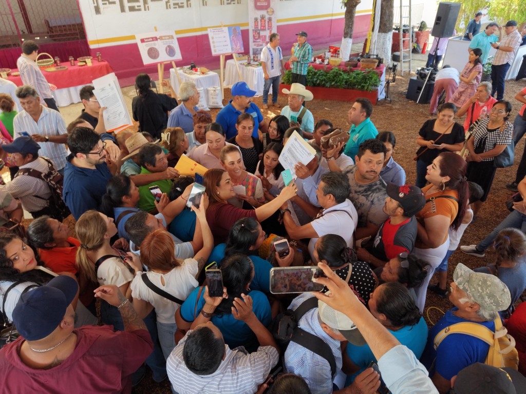 Anuncia Claudia Sheinbaum “Jamaica para el Bienestar”, para productores de Guerrero