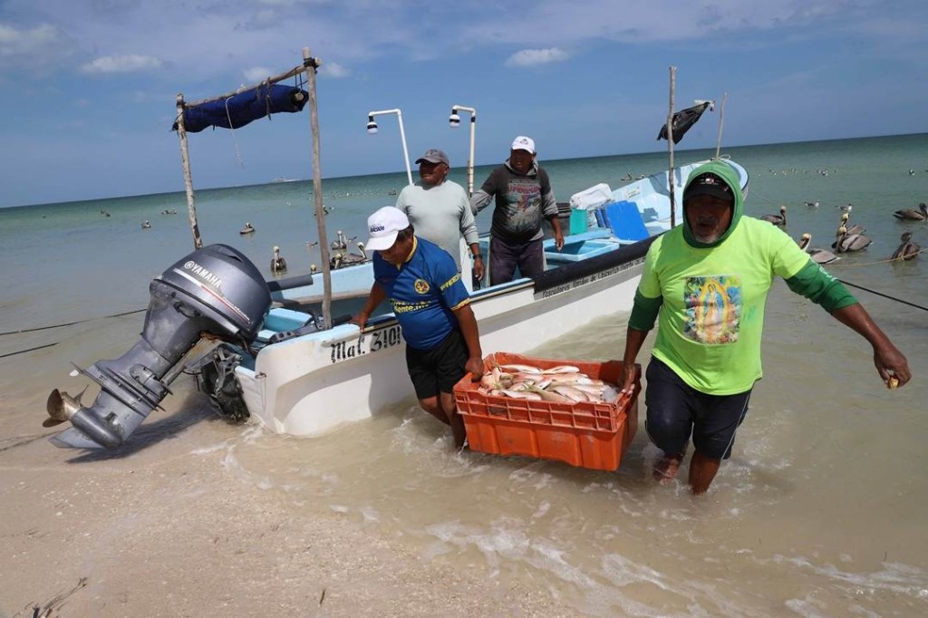 Incrementar&aacute;n este a&ntilde;o el apoyo a la veda para los pescadores yucatecos