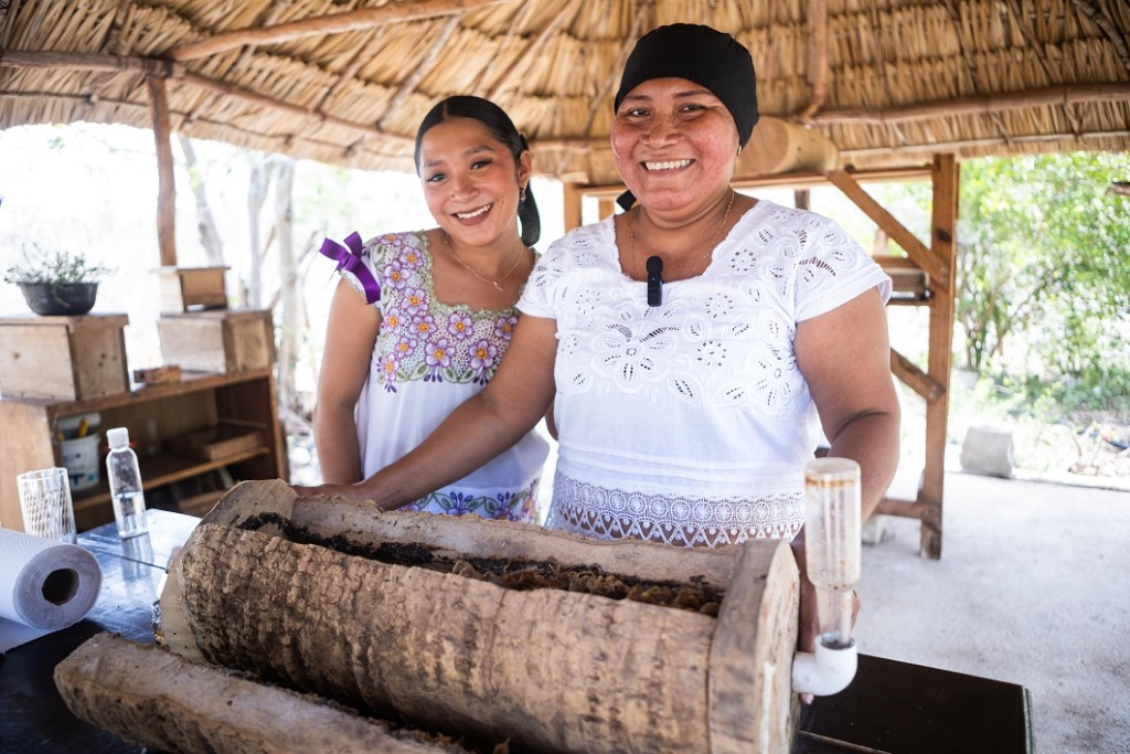 Alistan actividades por el D&iacute;a Estatal de la Ni&ntilde;a y la Mujer en la Ciencia en Yucat&aacute;n