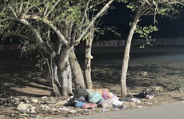 Persisten tiraderos clandestinos en Tizim&iacute;n