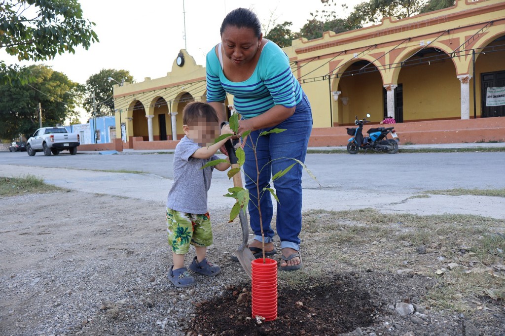 Promueven reforestación en Dzityá como parte de la estrategia Renacimiento Verde