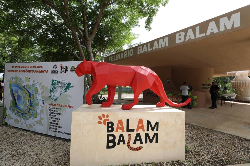 Avanza Mérida en la conservación de la fauna silvestre con responsabilidad, ciencia y corazón