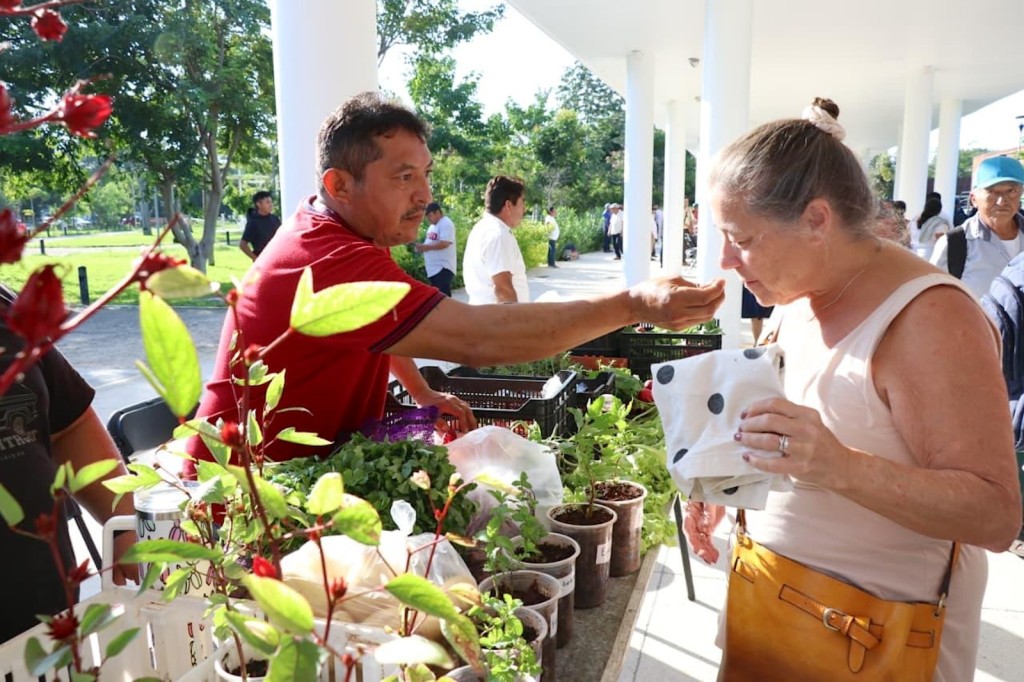 Regresa el Mercado Renacer del Campo Yucateco al Parque La Plancha