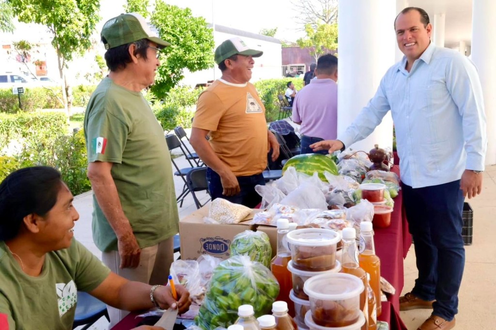 Se han mecanizado más de 600 hectáreas de tierra, en Tizimín