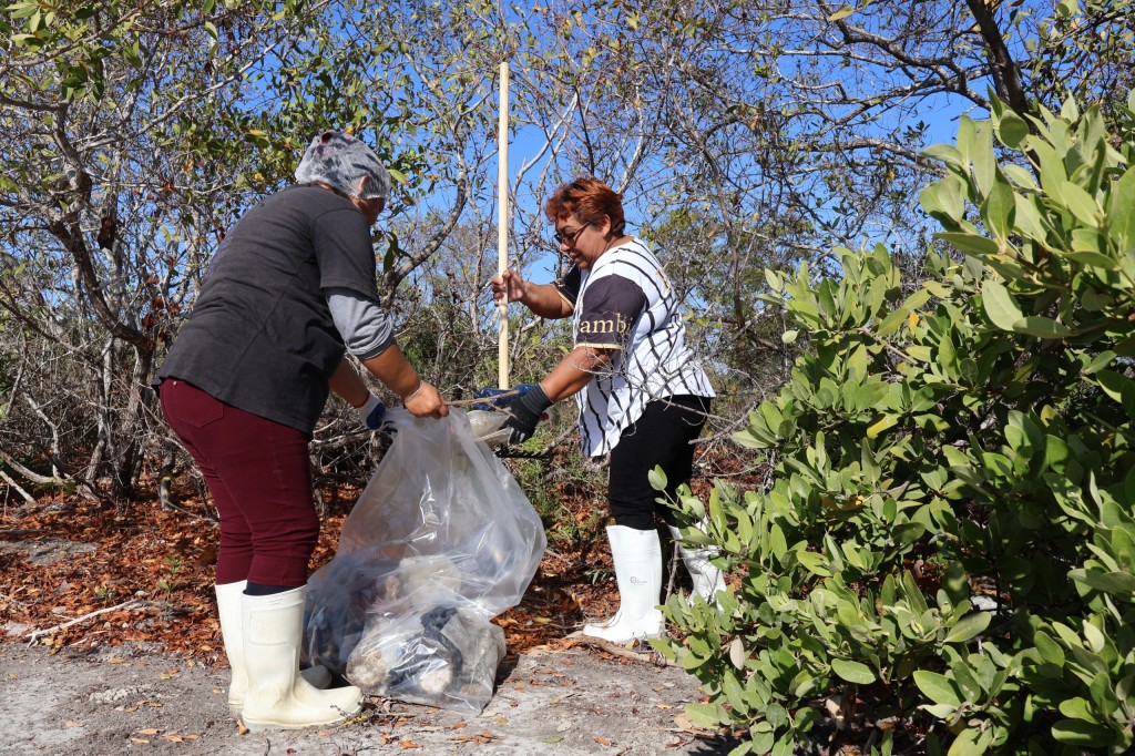 Yucatán y Campeche eliminan fronteras por la conservación