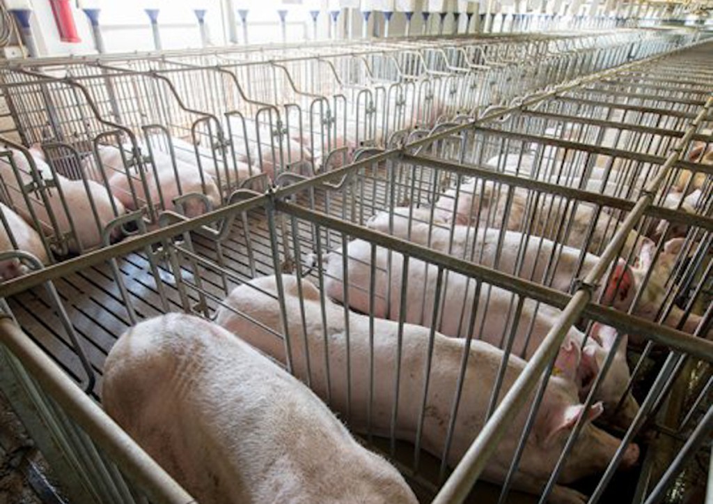 El gobierno estatal tuvo contacto con relator de la ONU