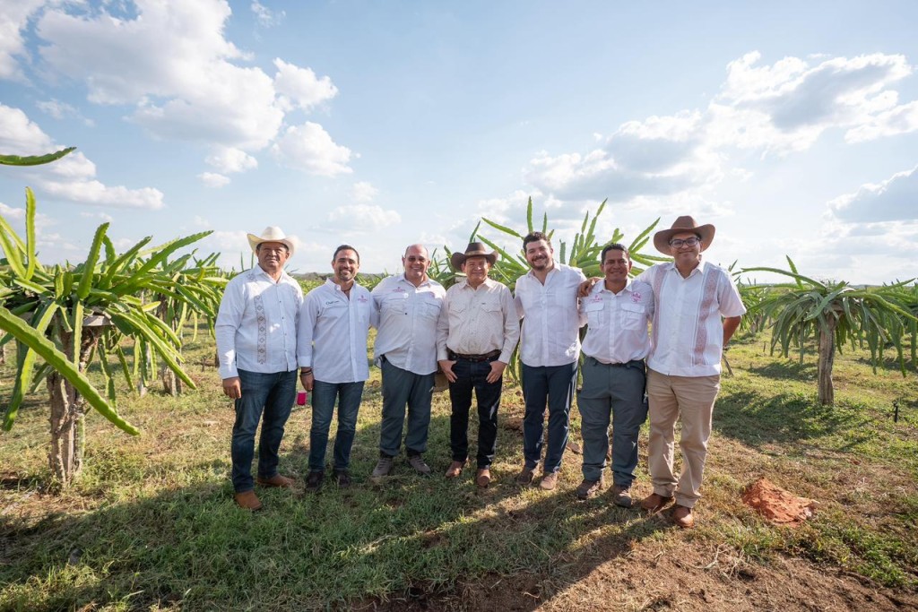 Posiciona Pitahaya Valley a Yucat&aacute;n como referente nacional
