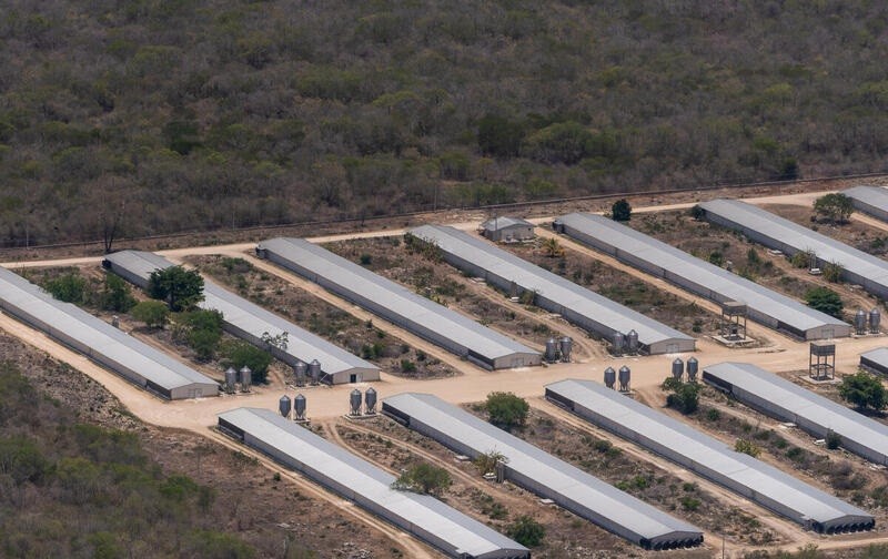 Aún no tiene respuesta de la ONU el CCE Yucatán