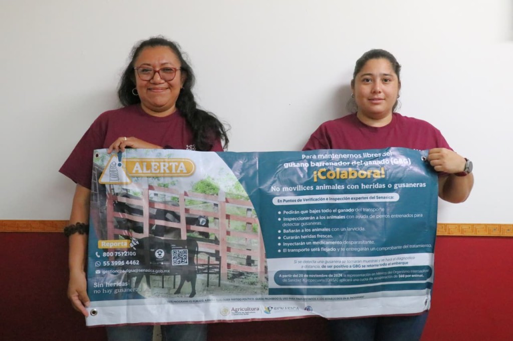 Refuerzan brigada contra el gusano barrenador en Yucat&aacute;n