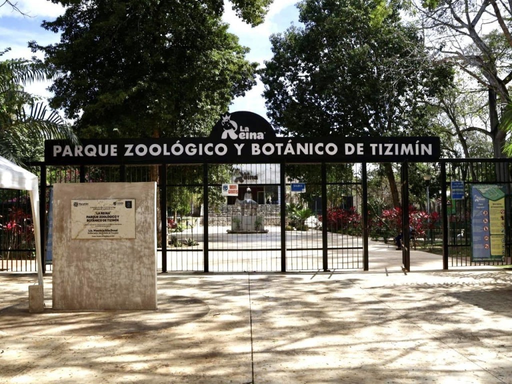 Abrir&aacute; este lunes el zoo de Tizim&iacute;n, por el D&iacute;a Mundial del Tapir