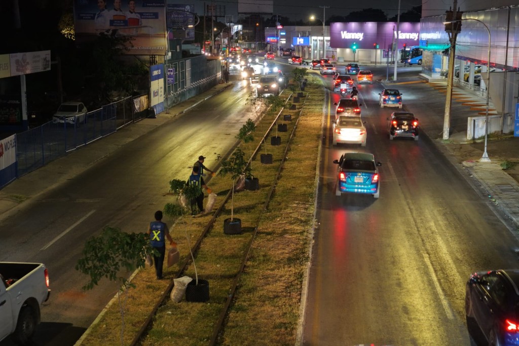 Inician trabajos de arborizaci&oacute;n en Circuito Colonias Poniente