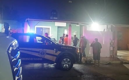 Mete en problemas otro pitbull a sus due&ntilde;os