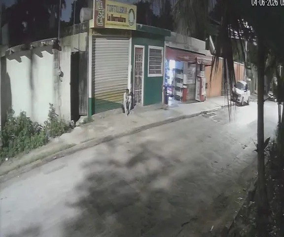 Denuncian a violento sujeto en Sodzil Norte, en Mérida