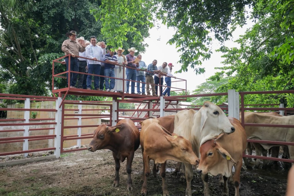Se siembra el Renacimiento Maya en el sur de Yucat&aacute;n
